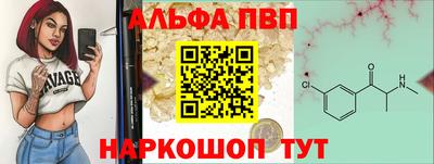 амф Гатчина