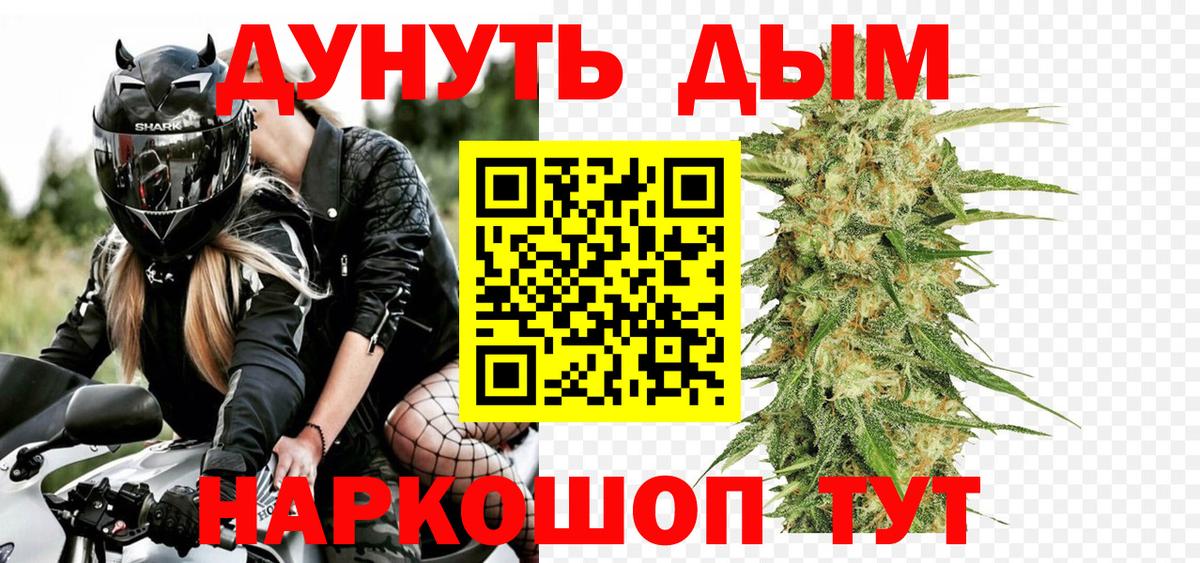 Шишки марихуана планчик  Вход с VPN  Новозыбков  Марихуана Amnesia  Бошки марихуана семена 